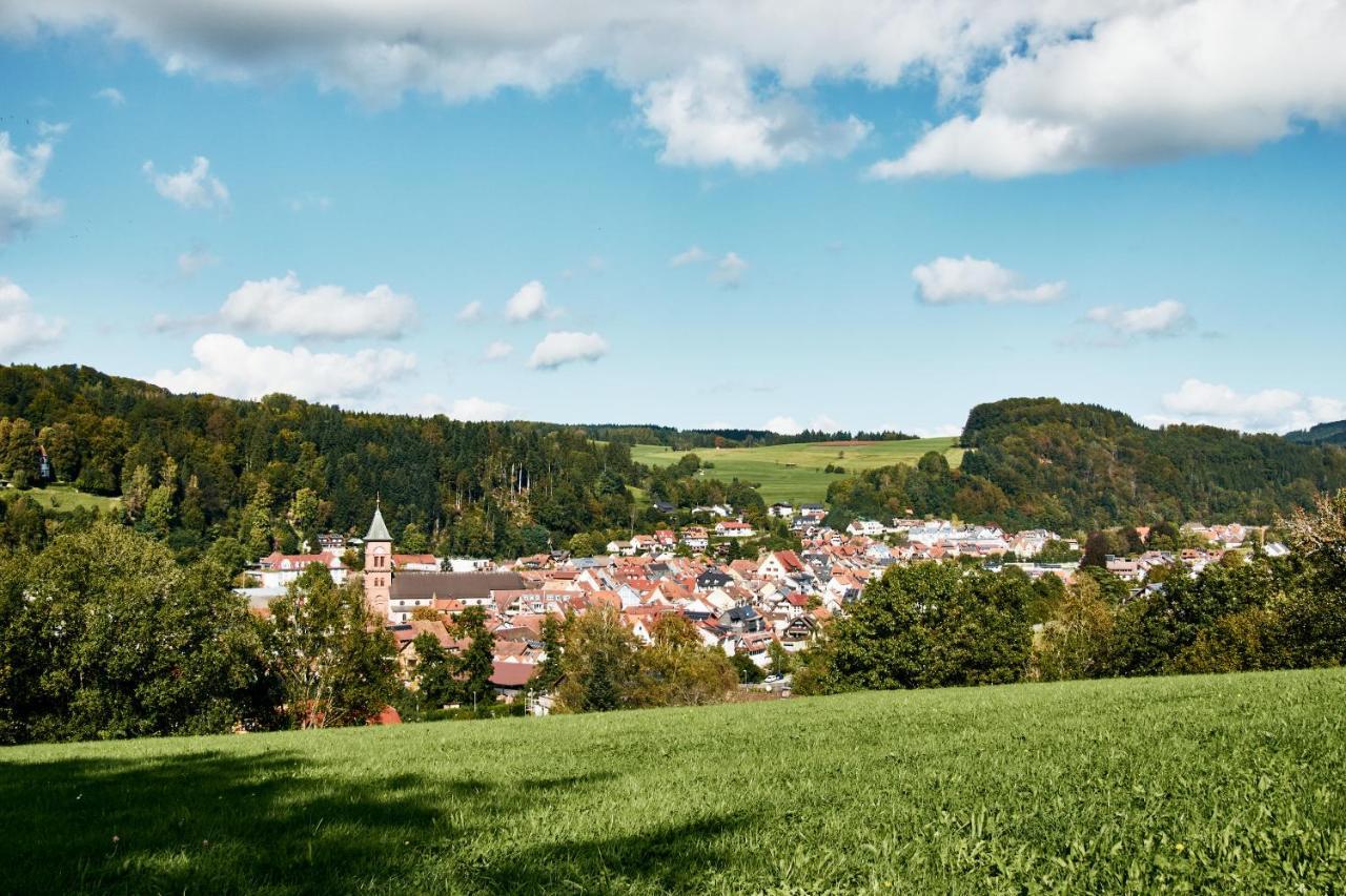Naturferienwohnung Weitsicht Эльцах Экстерьер фото